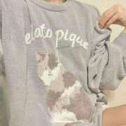 ヒメ日記 2025/10/24 18:04 投稿 あお 見学娘