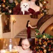 ヒメ日記 2025/12/23 22:53 投稿 さつき 見学娘