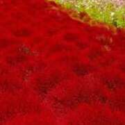 ヒメ日記 2025/10/03 22:20 投稿 茜美沙(あかねみさ) 東京ヒストリー　秘密の約束