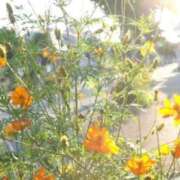 ヒメ日記 2025/10/08 15:22 投稿 茜美沙(あかねみさ) 東京ヒストリー　秘密の約束