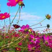 ヒメ日記 2025/10/19 01:04 投稿 茜美沙(あかねみさ) 東京ヒストリー　秘密の約束