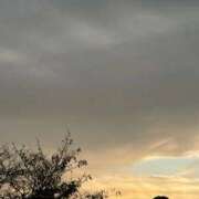 ヒメ日記 2025/11/01 10:22 投稿 茜美沙(あかねみさ) 東京ヒストリー　秘密の約束