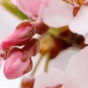 茜美沙(あかねみさ) よく言われること。 東京ヒストリー　秘密の約束