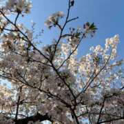 ヒメ日記 2026/04/05 15:33 投稿 さら 見学娘