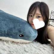 ヒメ日記 2025/11/02 14:00 投稿 るな 黒い金魚（札幌）