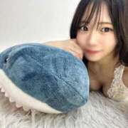 ヒメ日記 2025/12/12 19:00 投稿 るな 黒い金魚（札幌）