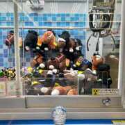 ヒメ日記 2026/02/02 18:31 投稿 るな 黒い金魚（札幌）