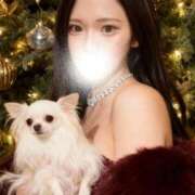 ヒメ日記 2025/12/24 09:52 投稿 せな 秘書室(吉原)