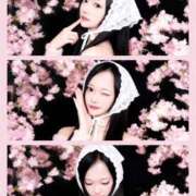 ヒメ日記 2026/03/28 09:13 投稿 せな 秘書室(吉原)