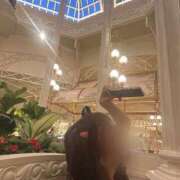 ヒメ日記 2025/10/07 12:36 投稿 まこ 鹿鳴館