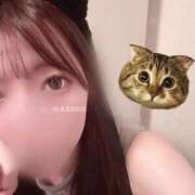 ヒメ日記 2025/10/24 22:16 投稿 まこ 鹿鳴館