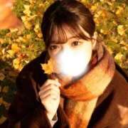 ヒメ日記 2025/11/22 12:16 投稿 まこ 鹿鳴館