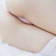 ヒメ日記 2025/11/28 09:26 投稿 まこ 鹿鳴館