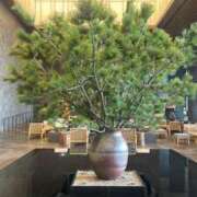 ヒメ日記 2026/01/06 11:06 投稿 まこ 鹿鳴館