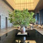 ヒメ日記 2026/01/15 15:16 投稿 まこ 鹿鳴館