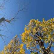 ヒメ日記 2026/01/23 13:16 投稿 まこ 鹿鳴館