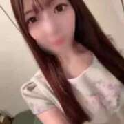 ヒメ日記 2026/02/12 12:26 投稿 まこ 鹿鳴館