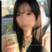 ヒメ日記 2026/03/30 12:18 投稿 まこ 鹿鳴館