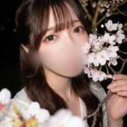 ヒメ日記 2026/04/10 22:06 投稿 まこ 鹿鳴館