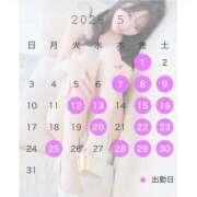 ヒメ日記 2026/04/20 08:36 投稿 まこ 鹿鳴館