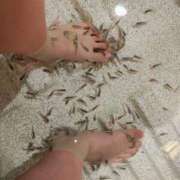 ヒメ日記 2025/09/17 10:06 投稿 夜桜みやび 夜這い専門 発情する奥様たち梅田店