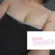 ヒメ日記 2026/02/19 08:34 投稿 【色羽 さく】 梅田ムチSpa女学院