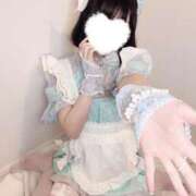 ヒメ日記 2025/11/08 15:22 投稿 めい ジャパンクラブ富士