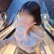 ヒメ日記 2025/11/30 11:42 投稿 めい ジャパンクラブ富士