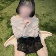 ヒメ日記 2025/12/14 10:12 投稿 めい ジャパンクラブ富士