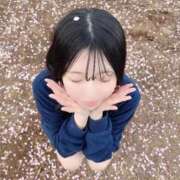 ヒメ日記 2026/03/15 11:52 投稿 めい ジャパンクラブ富士