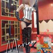 ヒメ日記 2025/10/01 07:20 投稿 Maria女王様 チューリップ姫路店