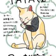 ヒメ日記 2025/10/04 06:10 投稿 Maria女王様 チューリップ姫路店