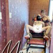 ヒメ日記 2025/11/06 09:20 投稿 Maria女王様 チューリップ姫路店