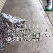 ヒメ日記 2025/11/09 21:50 投稿 Maria女王様 チューリップ姫路店