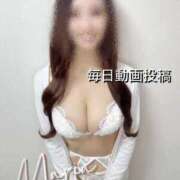 ヒメ日記 2025/11/19 11:10 投稿 Maria女王様 チューリップ姫路店