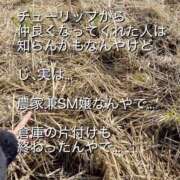 ヒメ日記 2025/11/24 12:10 投稿 Maria女王様 チューリップ姫路店