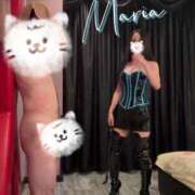 ヒメ日記 2025/11/30 10:40 投稿 Maria女王様 チューリップ姫路店