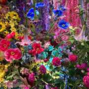 ヒメ日記 2025/09/17 11:58 投稿 ももえ 取手人妻快速