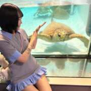 ヒメ日記 2025/10/04 21:10 投稿 きあら 花火-hanabi-(すすきの)