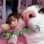 ヒメ日記 2025/11/05 17:59 投稿 りょうこ 人妻本舗愛のしずく名古屋店