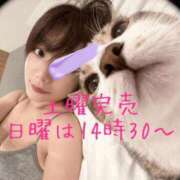 ヒメ日記 2025/11/08 10:33 投稿 りょうこ 人妻本舗愛のしずく名古屋店