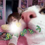 ヒメ日記 2025/11/10 13:58 投稿 りょうこ 人妻本舗愛のしずく名古屋店