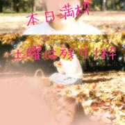 ヒメ日記 2025/11/14 07:24 投稿 りょうこ 人妻本舗愛のしずく名古屋店