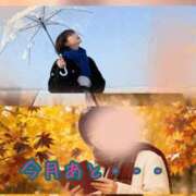 ヒメ日記 2025/11/14 16:22 投稿 りょうこ 人妻本舗愛のしずく名古屋店