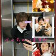 ヒメ日記 2025/11/19 12:59 投稿 りょうこ 人妻本舗愛のしずく名古屋店