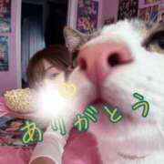 ヒメ日記 2025/11/22 10:43 投稿 りょうこ 人妻本舗愛のしずく名古屋店