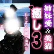 ヒメ日記 2025/11/24 23:44 投稿 りょうこ 人妻本舗愛のしずく名古屋店