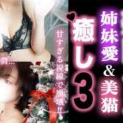 ヒメ日記 2025/12/05 23:40 投稿 りょうこ 人妻本舗愛のしずく名古屋店