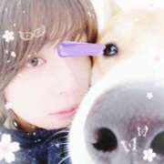 ヒメ日記 2026/02/03 07:58 投稿 りょうこ 人妻本舗愛のしずく名古屋店