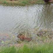 ヒメ日記 2026/02/05 11:29 投稿 りょうこ 人妻本舗愛のしずく名古屋店